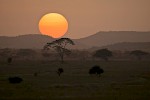 Serengeti, Tansania