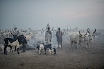 Mundari, Südsudan