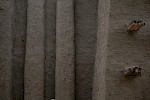 Mali