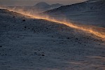 Dovrefjell, Norwegen
