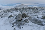 Dovrefjell, Norwegen