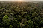 Kamerun