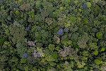 Mato Grosso, Brasilien