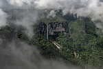 Serra do Aracá, Brasilien