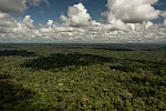 Amazonia, Brazil