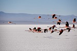 Sal de Uyuni, Bolivia