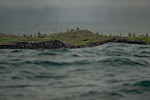 Galapagos Inseln