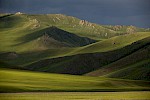 Khangai Mountains, Mongolia