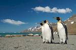 St. Andrews Bay, South Georgia