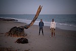 Senegal
