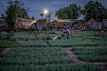 Senegal